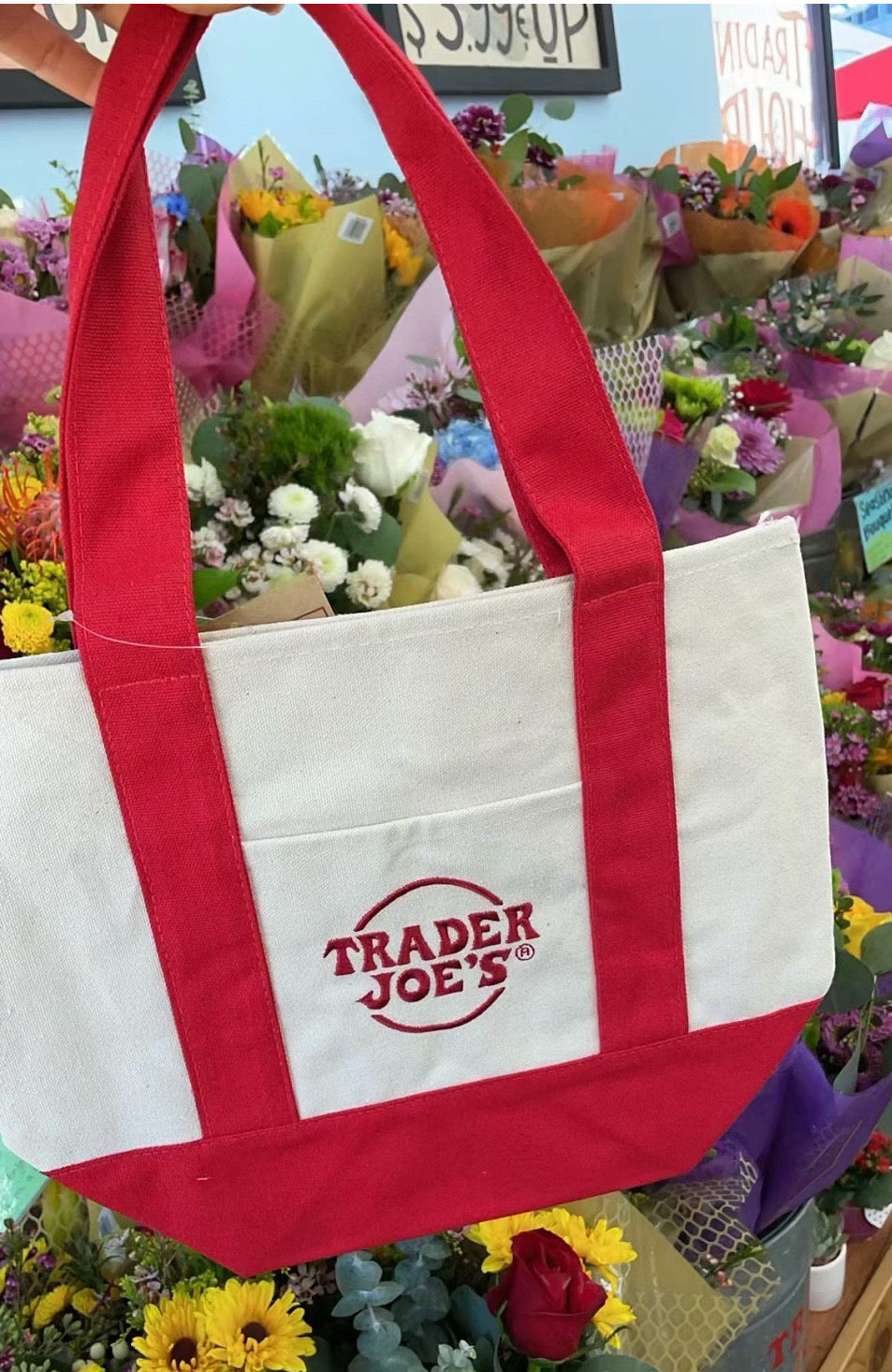 Trader Joe’s 缺德舅迷你帆布购物袋