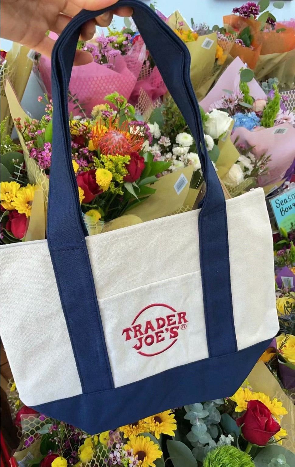 Trader Joe’s 缺德舅迷你帆布购物袋